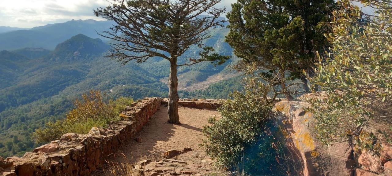 فيلا Riudecanyesفي La Casita De Jimena المظهر الخارجي الصورة